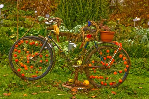 We did not find results for: Das Deko-Fahrrad am Kräutergarten ist herbstlich dekoriert ...