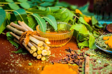 Want To Start An Ayurvedic Diet Here Are Some Tips On How To Begin