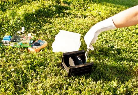 Wenn die mäuse im garten keine großen schäden anrichten, sollten sie am leben gelassen werden. Unkraut im Rasen bekämpfen - Tipps und Ratgeber | OBI