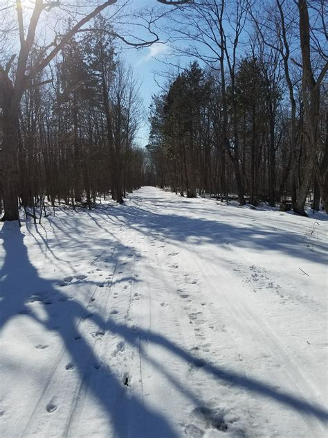 Check spelling or type a new query. Wehle State Park Trails - NNY Trails