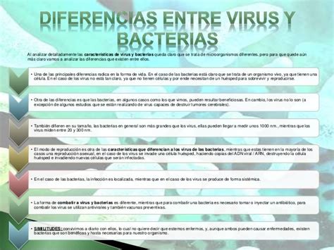 Diferencias Entre Virus Y Bacterias Cuadro Comparativo Cuadro E5c