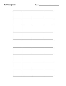 Since each parent produces 4 different combinations of alleles in the gametes, draw a 4 square by 4 square punnett square. Monohybrid and Dihybrid Punnett Square Template by Nicole ...