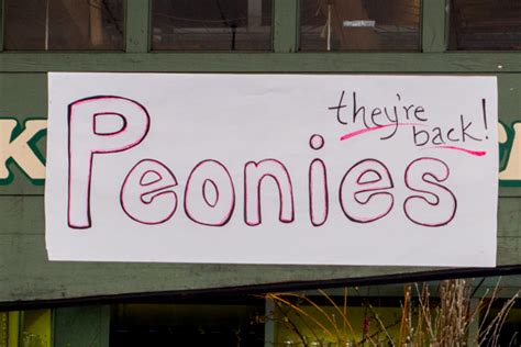 We did not find results for: Flower Children: A Mother's Day Visit to Pike Place Market ...