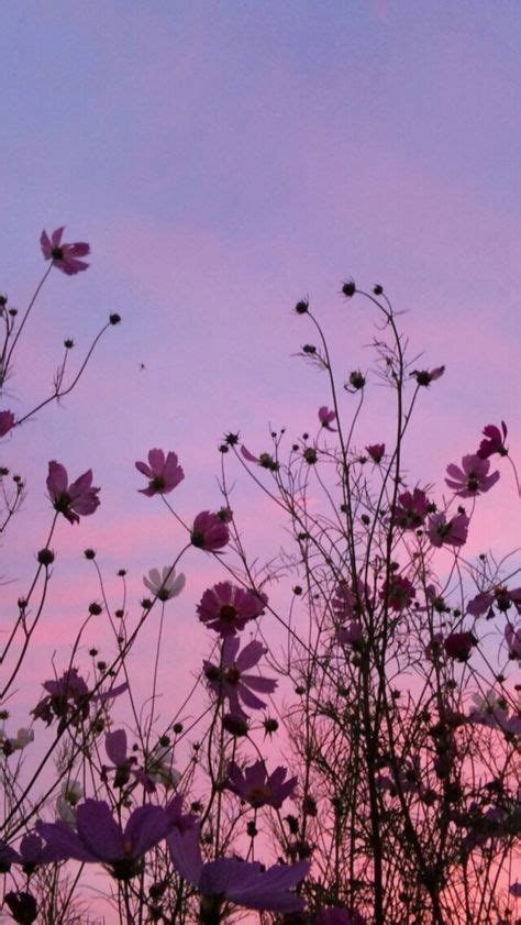 Pin By Kglr Clr On Fml Flower Wallpaper Sky Aesthetic Nature