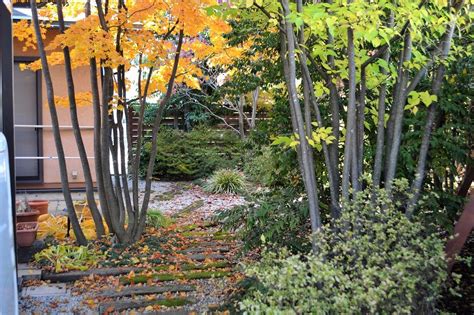 別荘地のような雑木の庭 | 小森造園 | 長野県内を中心に造園、外構工事、庭づくりのお手伝い。