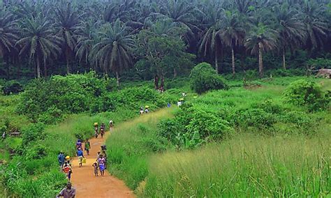 Ecological Regions Of Nigeria Worldatlas