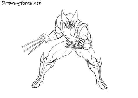 Animal coloring pages by national geographic for kids coloring pages are fun for children of all ages and are a great educational tool that helps children develop fine motor skills, creativity and color recognition! How to Draw Wolverine | Drawingforall.net