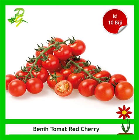 Jual Benih Seribuan Tomat Red Cherry Di Lapak Peerina Garden Bukalapak