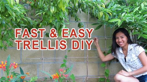 Trusses for climbing plants these examples show that see how many creative ideas you can make at home to create a trellis for vines. Easy fast Trellis DIY (No Skills Required) - YouTube