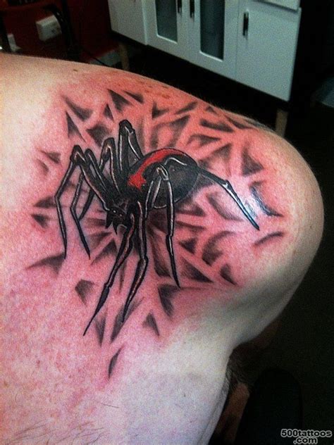 Spider Tattoo Photo Num 3297