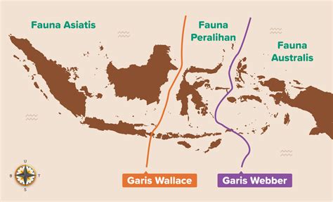 Peta Persebaran Flora Dan Fauna Di Indonesia Dan Faktor Yang