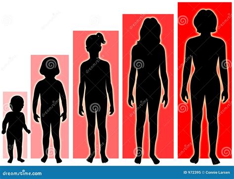 Female Growth Stages Royalty Free Stock Photo Image 972395