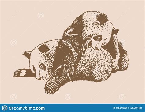 Graphical Pair Of Pandas Have Fun Vector Vintage Illustration Stock