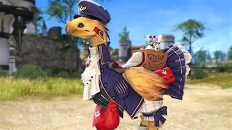 How To Get The Postmoogle Barding Chocobo Armor In Ffxiv Pro Game Guides