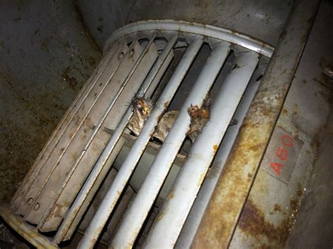 In terms of the complexity of this maintenance. Fall Preventive Maintenance Checklist for Air Handling ...