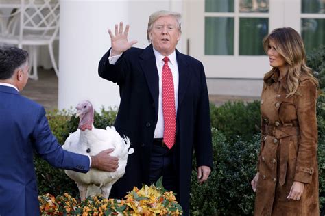 photos president trump pardons the thanksgiving turkey the boston globe