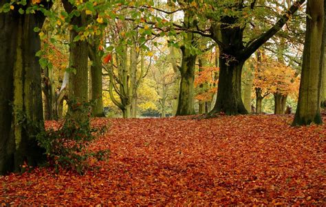 Autumn In London Wallpapers Wallpaper Cave