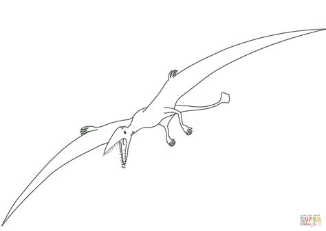 They lived from the late triassic to the late cretaceous period (228 to 66 million years ago). Pterodactyl Dinosaur coloring page | Free Printable ...