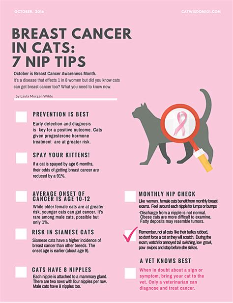 Breast Cancer Awareness Infographic For Cats Cat Wisdom 101 Everything Feline Since 2011