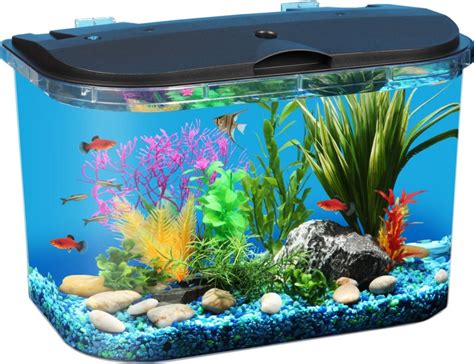 How To Pick An Aquarium For Your Kid Times Square Chronicles