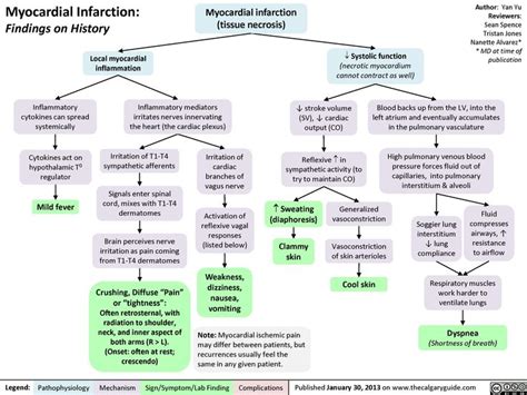 Pathophysiology Of Myocardial Infarction Williamancehale