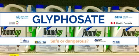 Infographic Global Regulatory And Health Research Agencies On Whether Glyphosate Causes Cancer