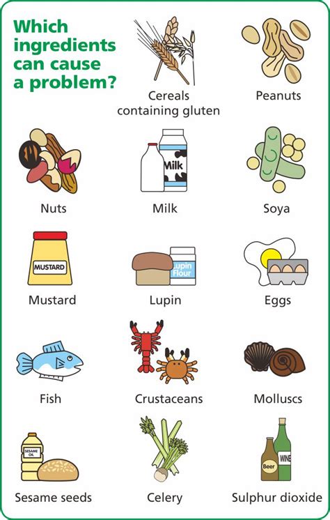 Food Allergen Printable Chart