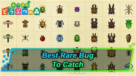 Acnh Bug List
