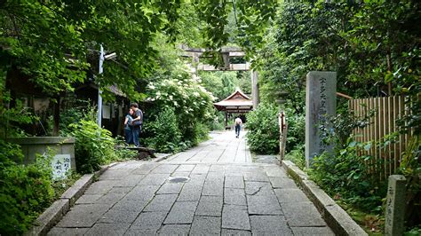 Ginkaku Ji Temple Path Ancient Kyoto Walks Visions Of