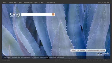 Featured On Bing Don Paulson Photography