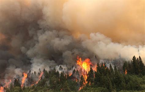 6th Largest Fire In Co History Pine Gulch Fire Grows To 68323 Acres
