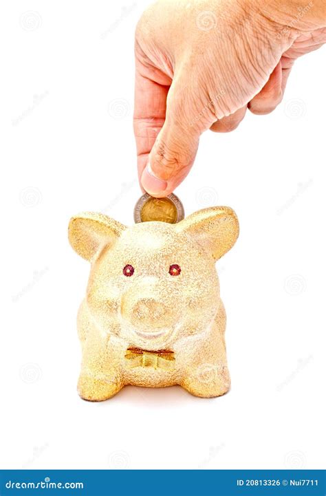 A Males Hand Putting A Coin To Piggy Bank Stock Photo Image Of
