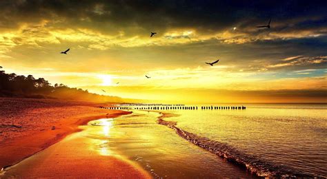 Golden Sky Wallpapers Wallpaper Cave