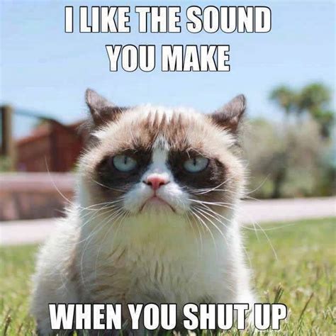 Humor Funny Lol Captions Grumpy Cat Quotes Grumpy