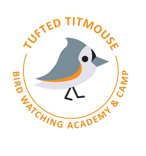 Tufted Titmouse Bird Watching Academy