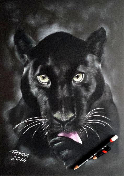 Black Panther Pencil Drawing By Tafoxart On Deviantart