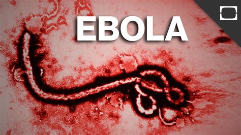 Ebola 2 is created in the spirit of the great classics of survival horrors. Will Ebola Be The Next Pandemic? - YouTube