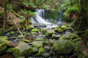 Russell Falls Mount Field National Stock Photo Colourbox