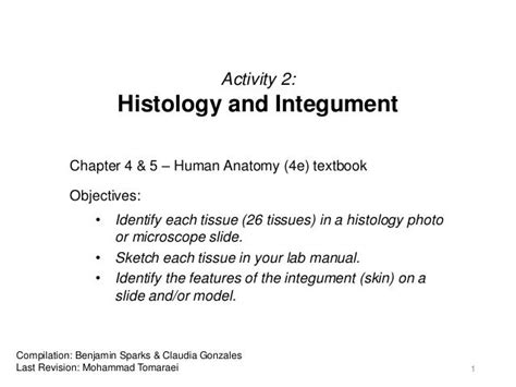 Activity 2 Histology And Integument