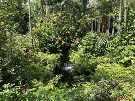 Did you scroll all this way to get facts about fairchild garden? Fairchild Tropical Gardens | MiamiBusiness.com