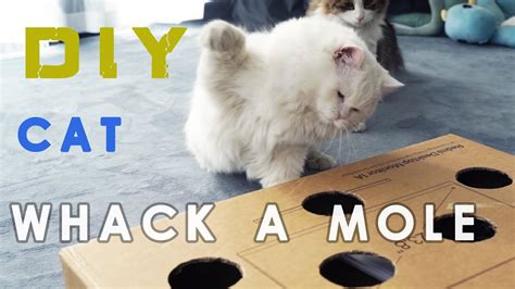 Cat Vs Whack A Mole Toy Diy Cat Toy Whack A Mole Game For Your Feline