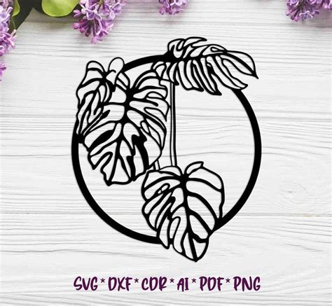 Monstera Svg Dxf Ai Digital Vector Design For Plasma And Etsy