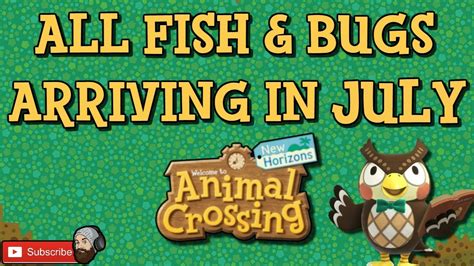 Acnh All New Fish In July And All New Bugs In July Animal Crossing New