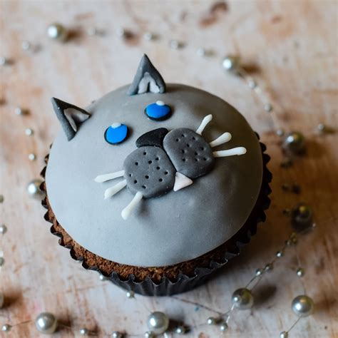 Cat Cupcakes Only Crumbs Remain