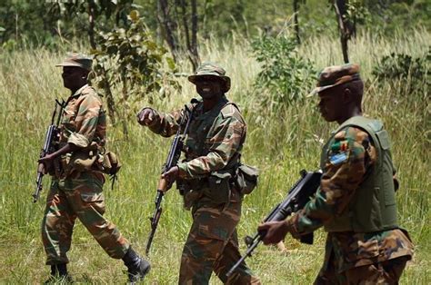 Armée Zambienne Zambian Defence Forces