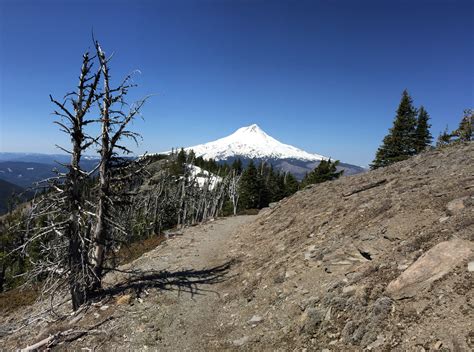 Hiking Lookout Mountain Oregon Wanderlusthiker