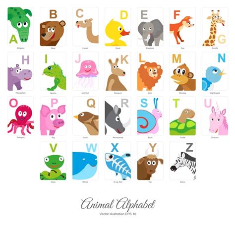 Alphabet Animal Stock Photos Royalty Free Alphabet Animal Images
