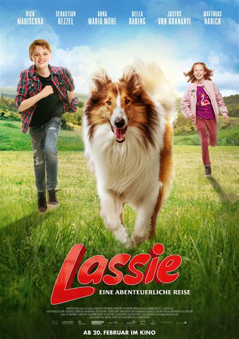 Was Lassie A Real Dog