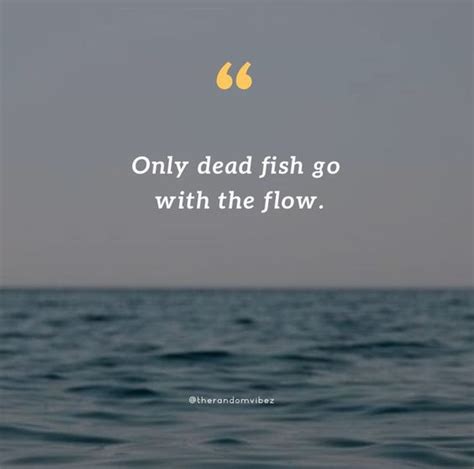 110 Go With The Flow Quotes To Live Life As It Comes The Random Vibez