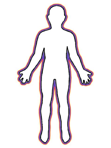 Chest clipart black and white. Human Body coloring pages. Free Printable Human Body ...